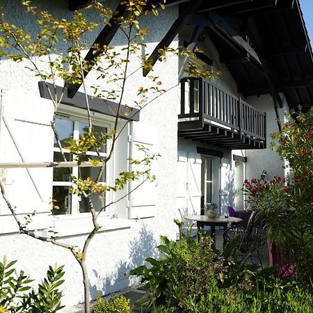 Bleuvelours Bed and Breakfast Andernos-les-Bains Eksteriør billede
